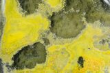 Very Vibrant, Free-Standing Polished Bumblebee Jasper #358630-1